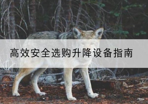 江达升降货梯厂家推荐-*安全选购升降设备指南