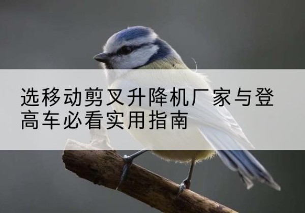 江达电动升降机厂家-选移动剪叉升降机厂家与登高车必看实用指南